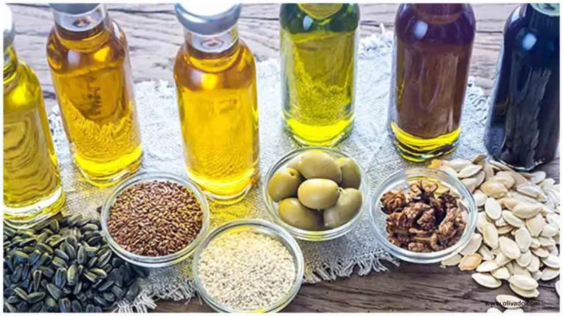 cooking oils guide for beginners